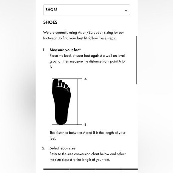 Charles and Keith chunky platform shoes - Picture 10 of 11